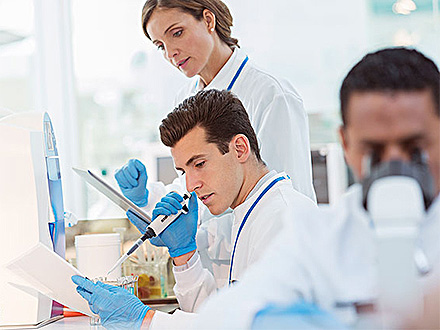 xc sports体育研发实力一